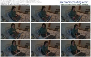 streamate-dameblazeylux-11-25-2024-14-15-08