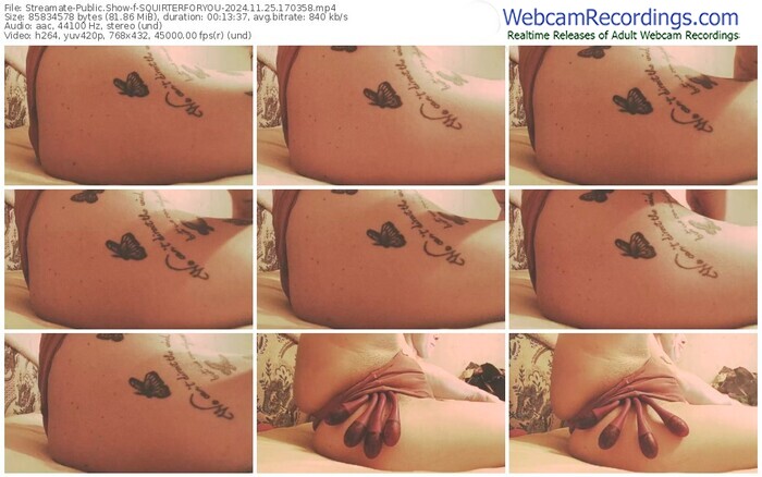 streamate-squirterforyou-11-25-2024-17-03-58