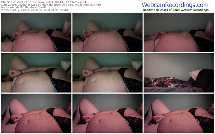streamate-welshdick-11-25-2024-23-40-14