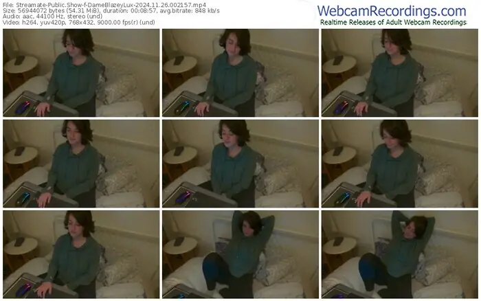 streamate-dameblazeylux-11-26-2024-00-21-57