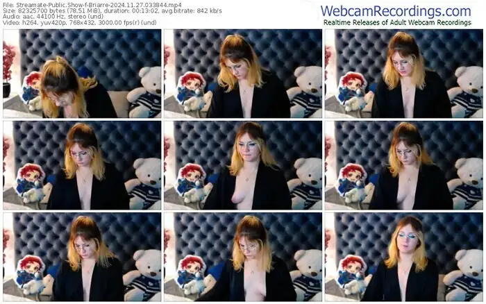 streamate-briarre-11-27-2024-03-38-44