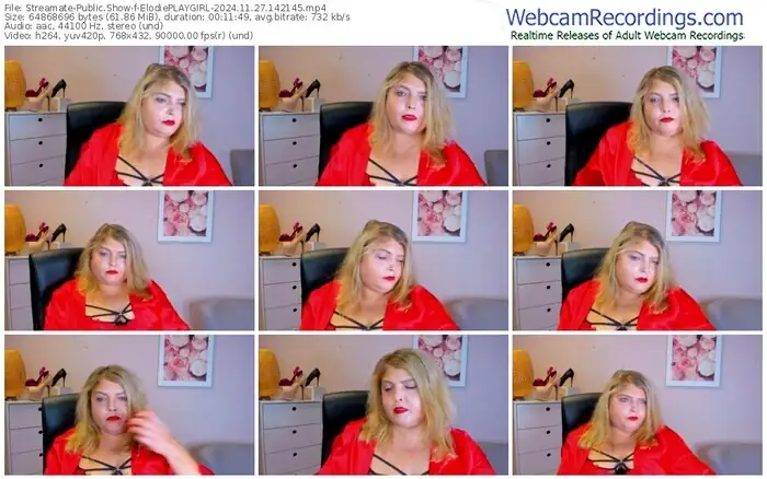 streamate-elodieplaygirl-11-27-2024-14-21-45