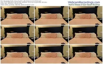 streamate-lucky_lee-11-27-2024-01-50-35