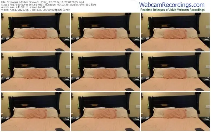 streamate-lucky_lee-11-27-2024-01-50-35