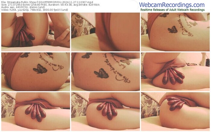 streamate-squirterforyou-11-27-2024-11-03-07