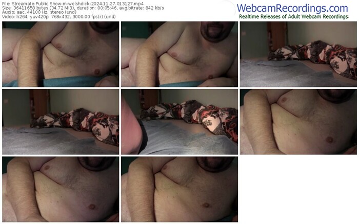 streamate-welshdick-11-27-2024-01-31-27