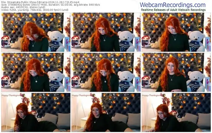 streamate-briarre-11-28-2024-17-21-45