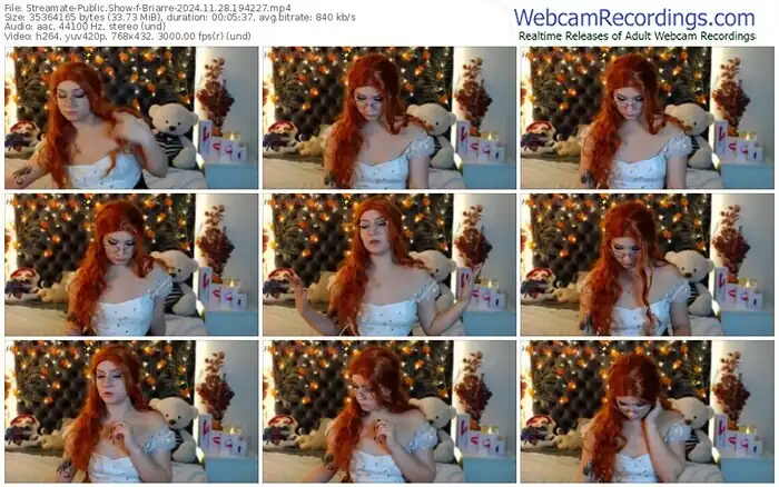 streamate-briarre-11-28-2024-19-42-27