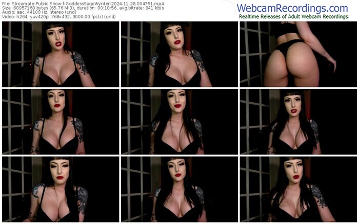 streamate-goddesssagewynter-11-28-2024-00-47-51