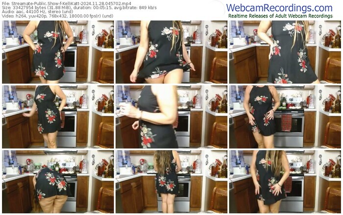 streamate-kellikatt-11-28-2024-04-57-02