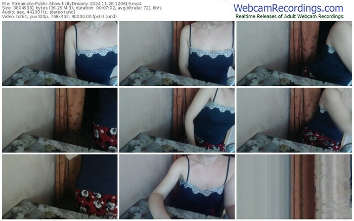 streamate-lilydreamy-11-28-2024-12-06-19