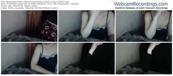 streamate-lilydreamy-11-28-2024-12-28-47