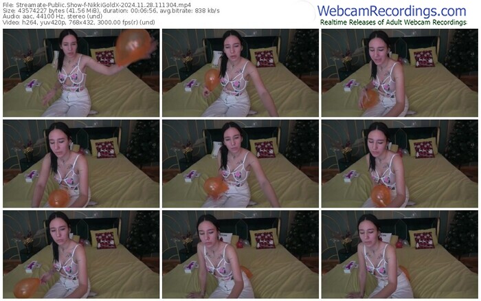 streamate-nikkigoldx-11-28-2024-11-13-04