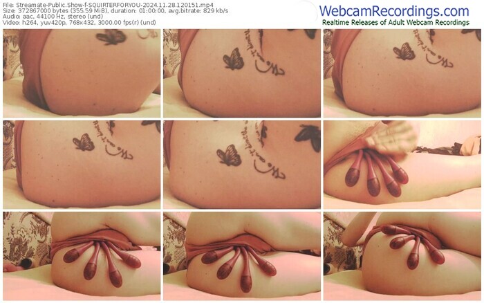 streamate-squirterforyou-11-28-2024-12-01-51