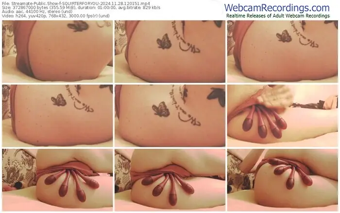streamate-squirterforyou-11-28-2024-12-01-51