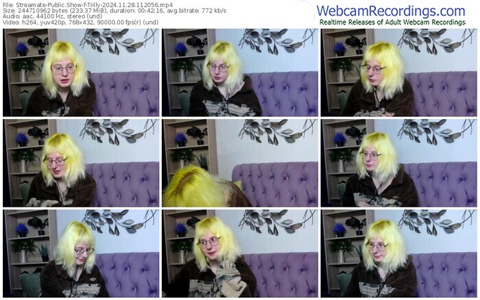 streamate-tiilly-11-28-2024-11-20-56