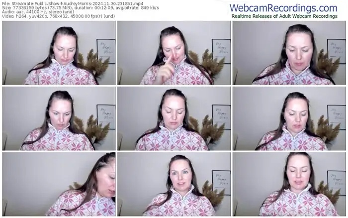 streamate-audreymorris-11-30-2024-23-18-51