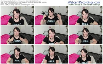 streamate-oceanfoxy-11-30-2024-15-34-17