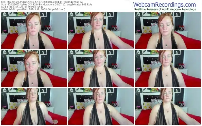 streamate-sinfultitsdd-11-30-2024-06-42-26