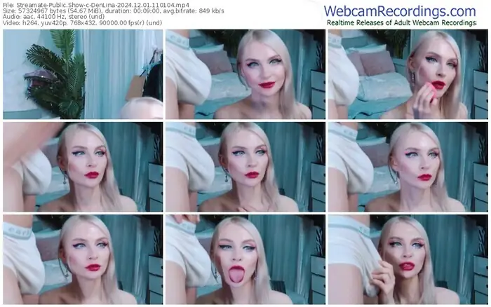 streamate-denlina-12-01-2024-11-01-04