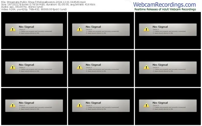 streamate-melissaboomm-12-01-2024-04-45-40