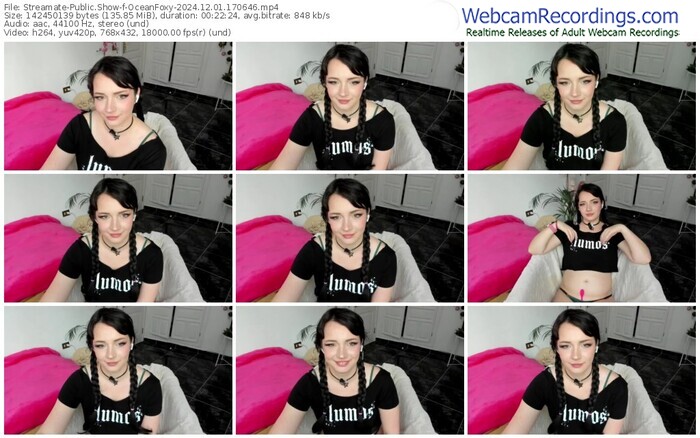 streamate-oceanfoxy-12-01-2024-17-06-46