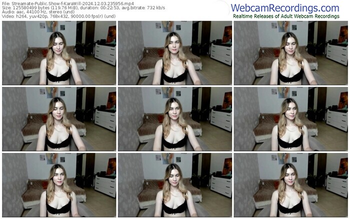 streamate-karawill-12-03-2024-23-59-56