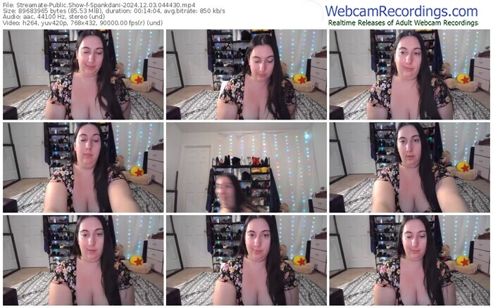 streamate-spankdani-12-03-2024-04-44-30