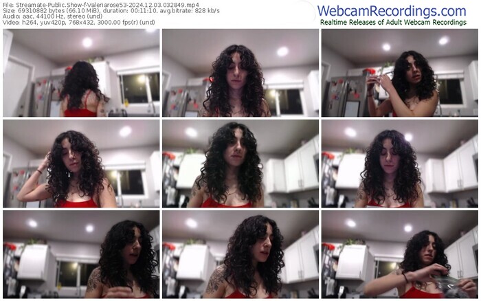 streamate-valeriarose53-12-03-2024-03-28-49