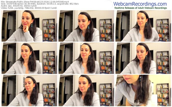 streamate-wildcat123-12-06-2024-04-53-48