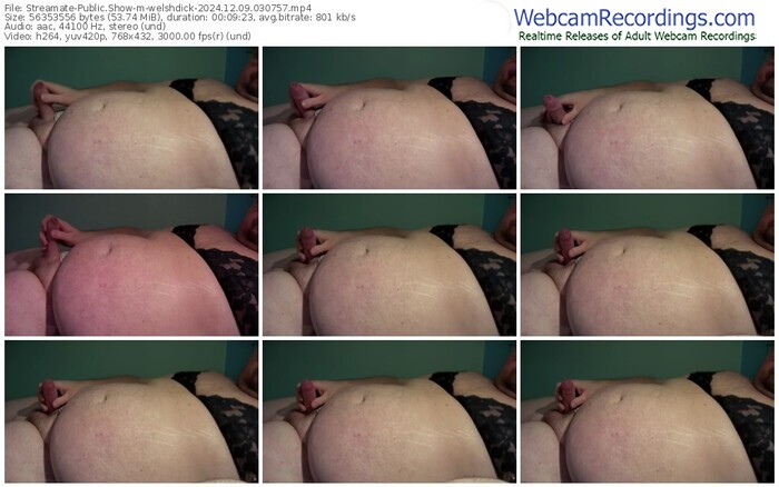 streamate-welshdick-12-09-2024-03-07-57