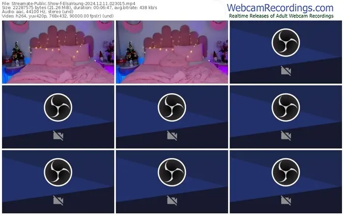 streamate-elsayoung-12-11-2024-02-30-15