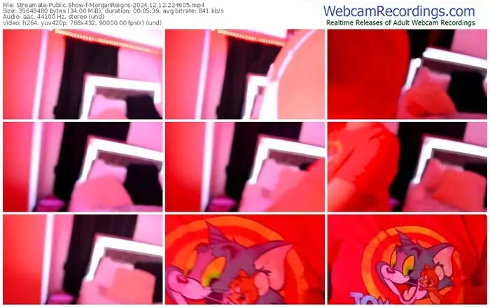 streamate-morganreigns-12-12-2024-22-46-05