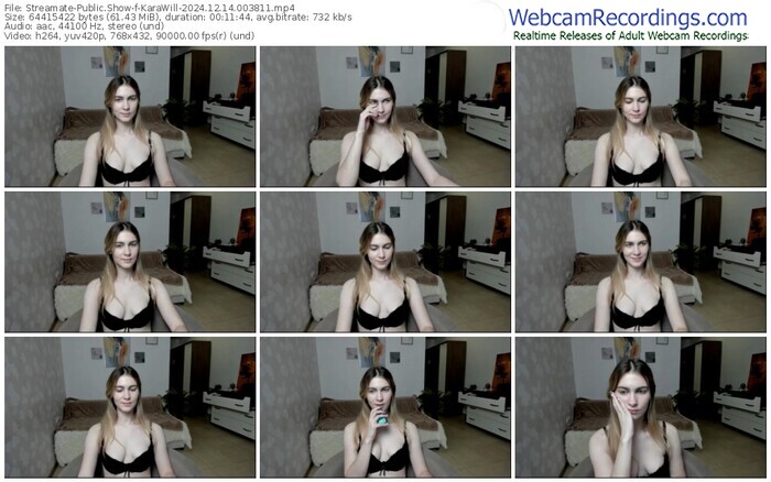 streamate-karawill-12-14-2024-00-38-11