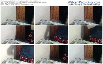 streamate-lilydreamy-12-14-2024-06-32-46