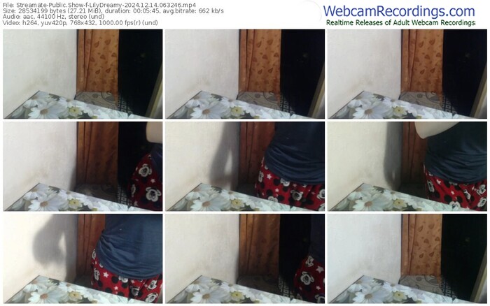 streamate-lilydreamy-12-14-2024-06-32-46