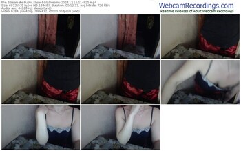 streamate-lilydreamy-12-15-2024-11-48-25