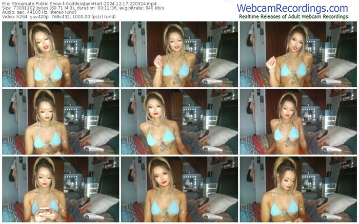 streamate-goddessjadehart-12-17-2024-22-03-24