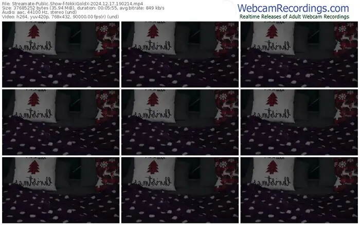 streamate-nikkigoldx-12-17-2024-19-02-14