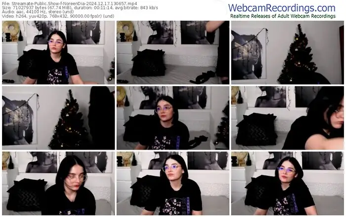streamate-noreendia-12-17-2024-13-06-57