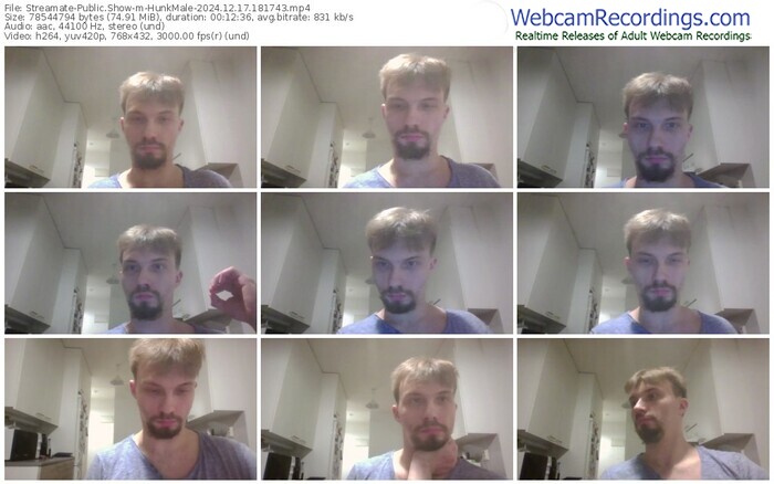 streamate-hunkmale-12-17-2024-18-17-43