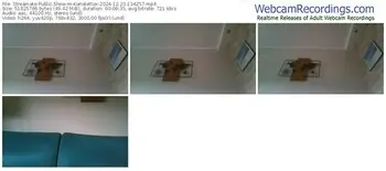 streamate-kanalettox-12-20-2024-13-42-57