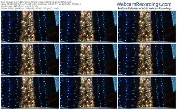 streamate-baileysparx-12-22-2024-09-51-55