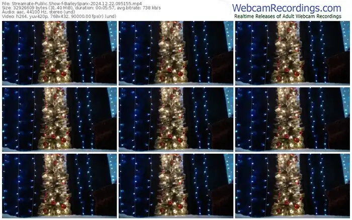 streamate-baileysparx-12-22-2024-09-51-55