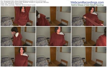 streamate-dameblazeylux-12-23-2024-11-57-03