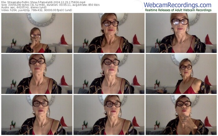 streamate-pamelase-12-23-2024-17-58-24