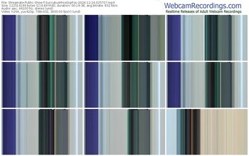 streamate-succubusmissgigifox-12-24-2024-02-57-07