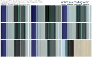 streamate-succubusmissgigifox-12-24-2024-02-57-07