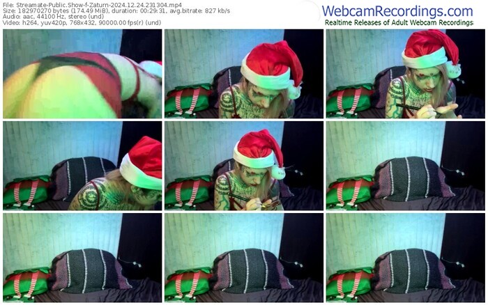 streamate-zaturn-12-24-2024-23-13-04