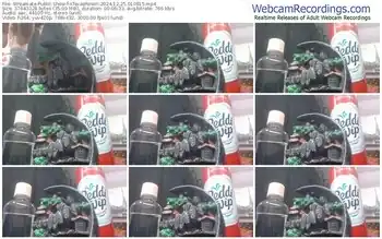 streamate-xtexasrosex-12-25-2024-01-08-15